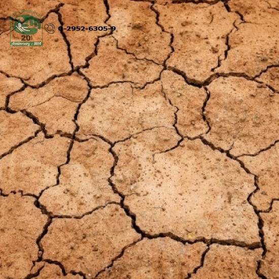 บริการตรวจวิเคราะห์กากตะกอนและดิน  บริการตรวจวิเคราะห์กากตะกอนและดิน